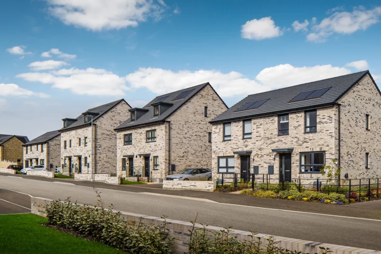 Image carousel 3559921 1773370818