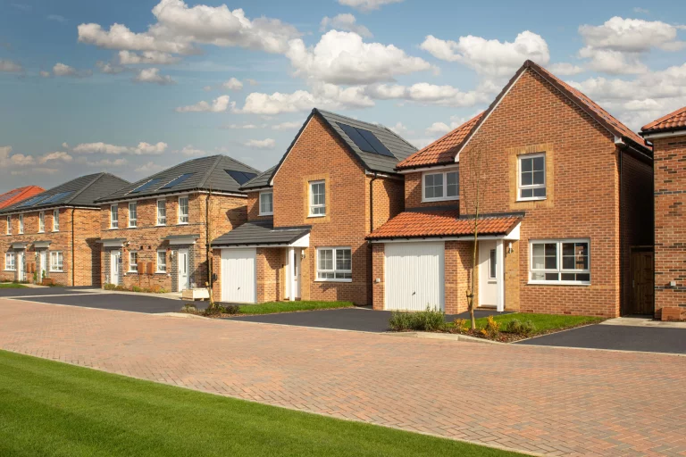 Image carousel 3559966 1773370847