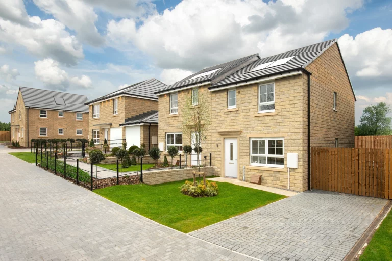 Image carousel 3561076 1773457274