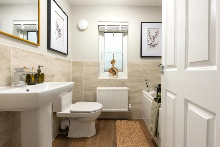 Image carousel 3561116 1773457330