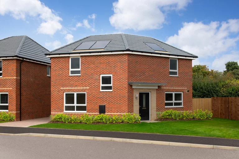 Image carousel 3561161 1773457371