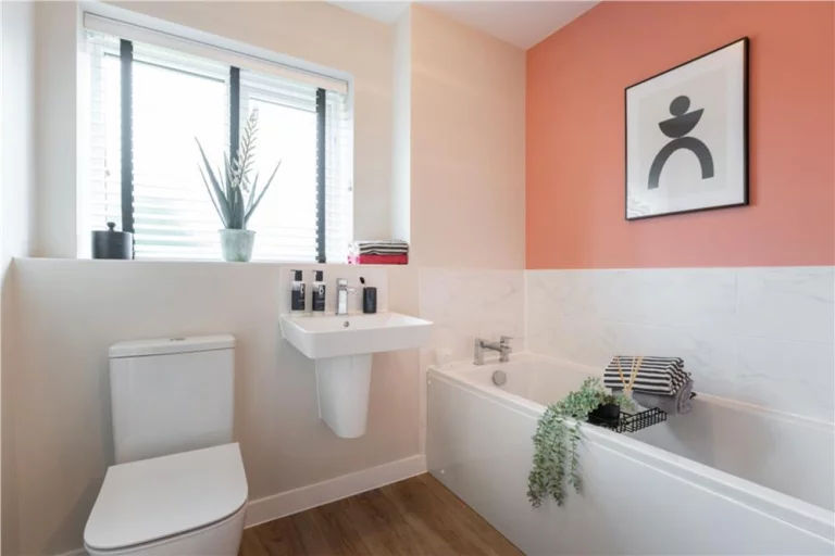 Image carousel 3561411 1773540587