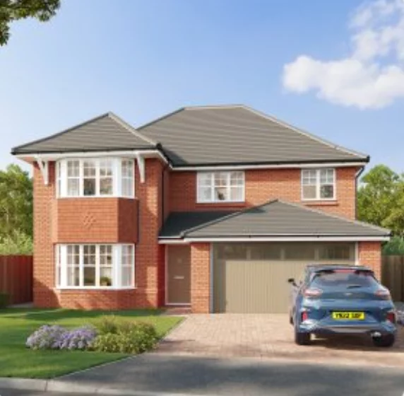 Image carousel 3561576 1773652164