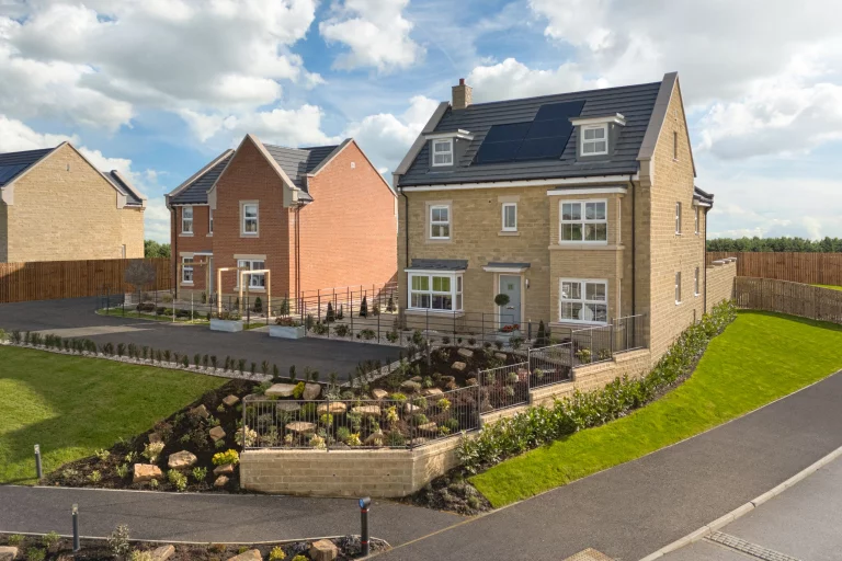 Image carousel 3561721 1773716460