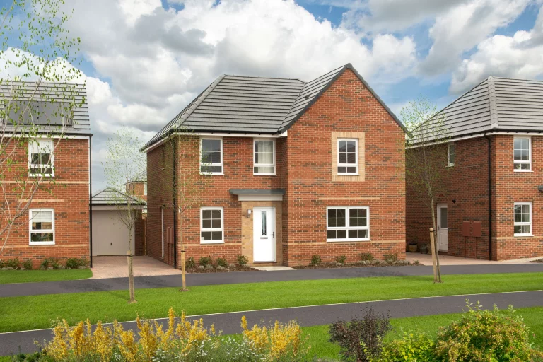 Image carousel 3561731 1773716461