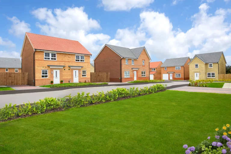 Image carousel 3561761 1773716471