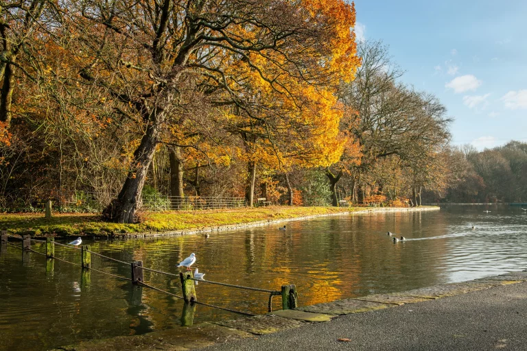 Image carousel 3561766 1773716471