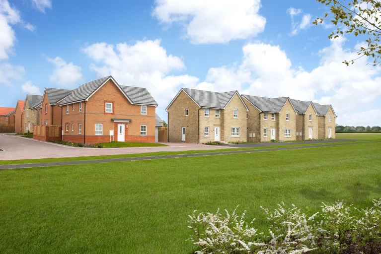 Image carousel 3561771 1773716471