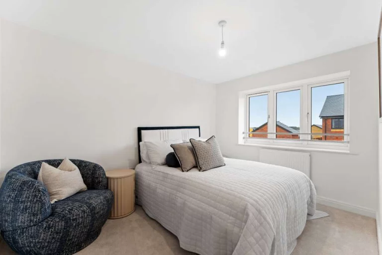 Image carousel 3562391 1773799280