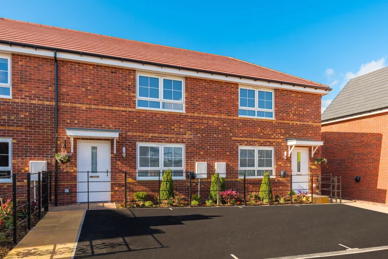 Image carousel 3562711 1773802856