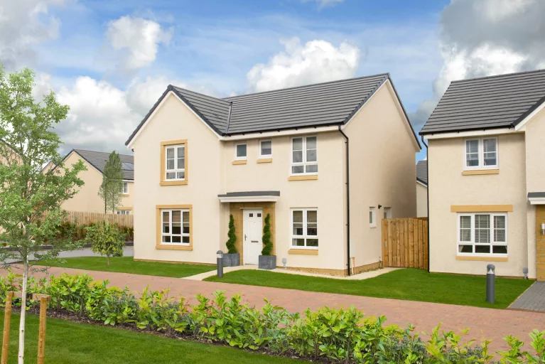 Image carousel 3562781 1773802868