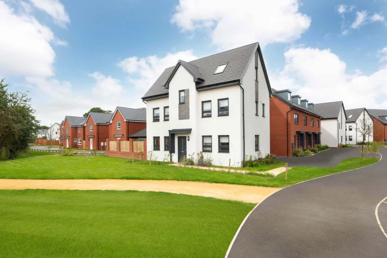 Image carousel 3562801 1773802942