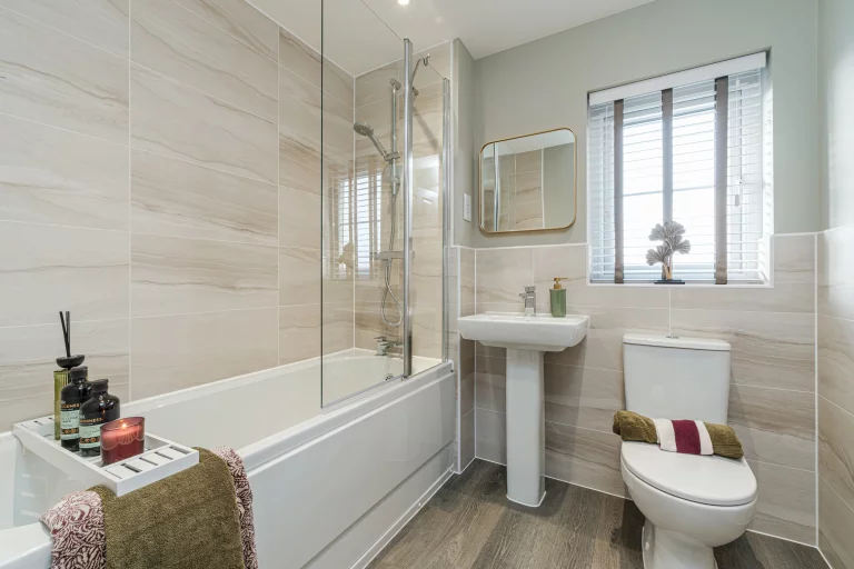 Image carousel 3562831 1773802962