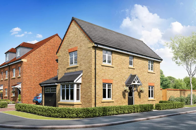 Image carousel 3563046 1773810058