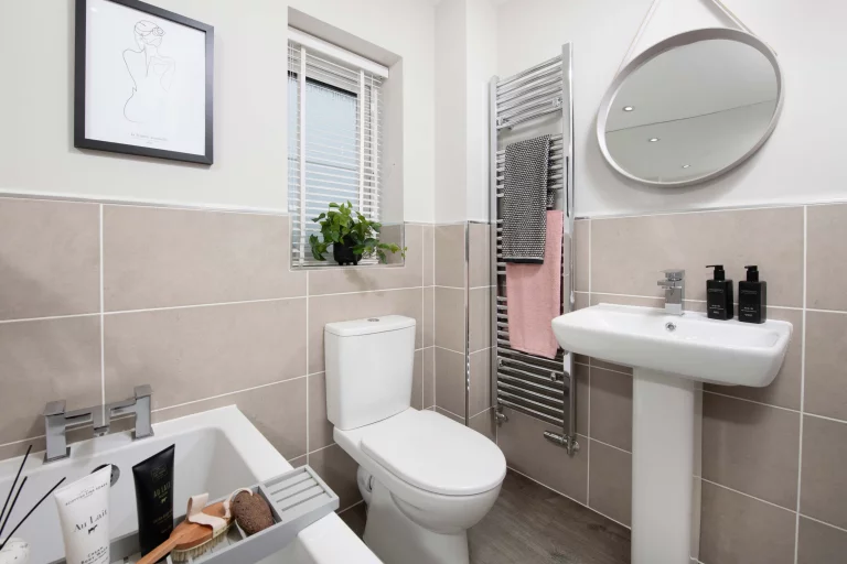 Image carousel 3564716 1773975798