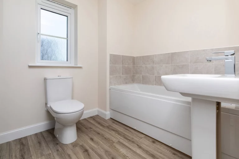 Image carousel 3565221 1774062177