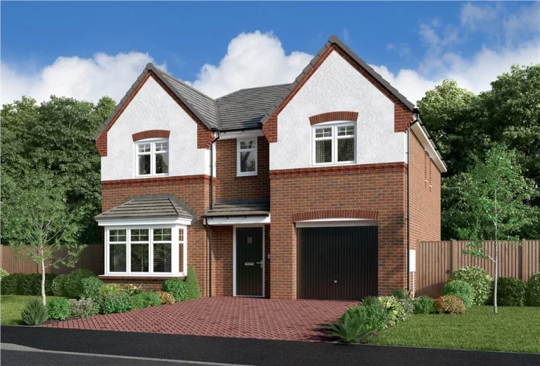 Image carousel 3565676 1774232004