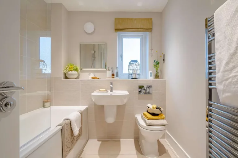 Image carousel 3566326 1774256280