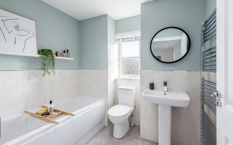 Image carousel 3566531 1774321365