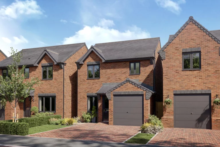 Image carousel 3566616 1774328456