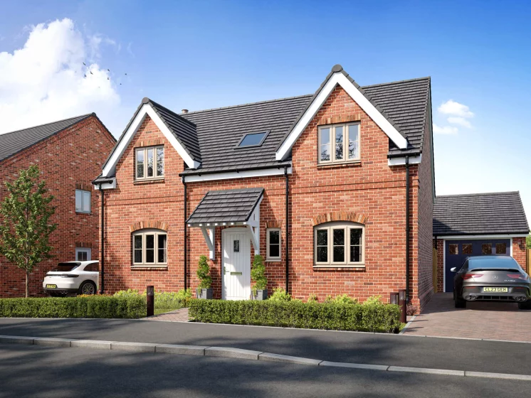 Image carousel 3566841 1774345583