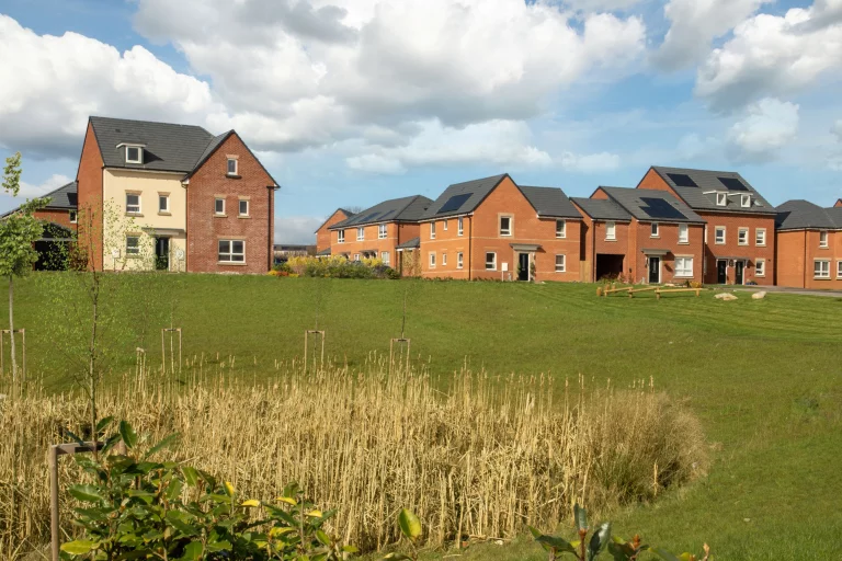 Image carousel 3567341 1774407652