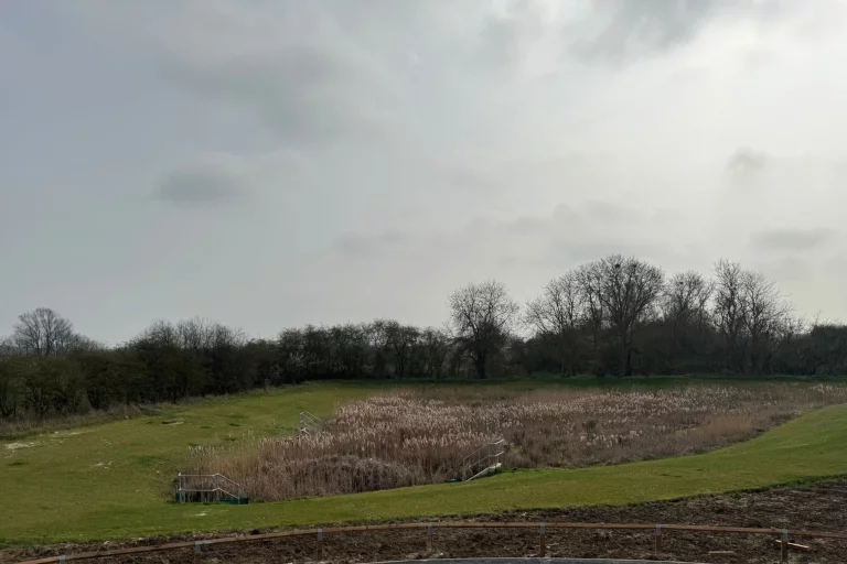 Image carousel 3567831 1774494120