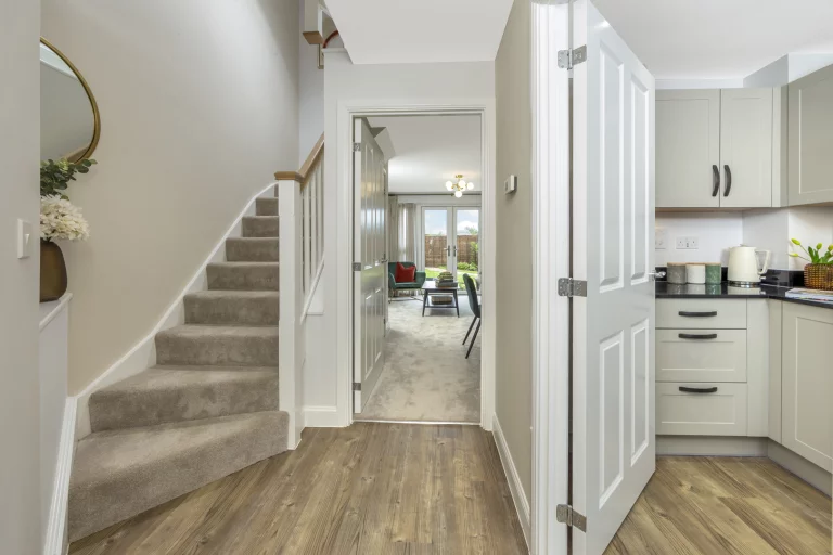 Image carousel 3568061 1774580486