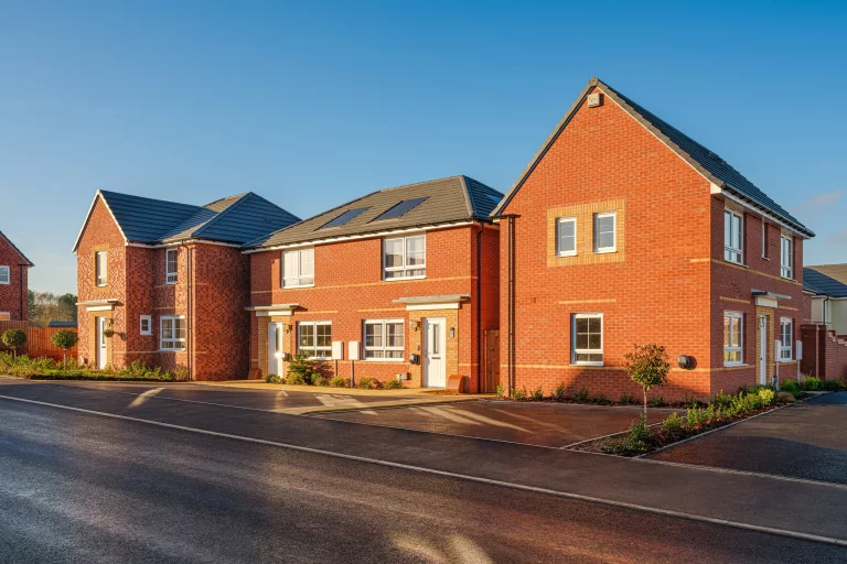 Image carousel 3569051 1774666943