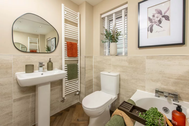 Image carousel 3569206 1774667022