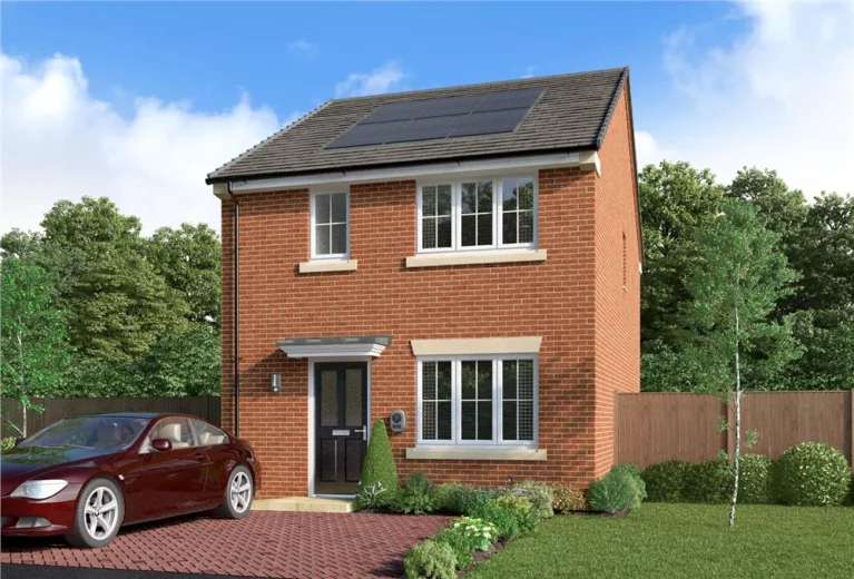 Image carousel 3569561 1774750445