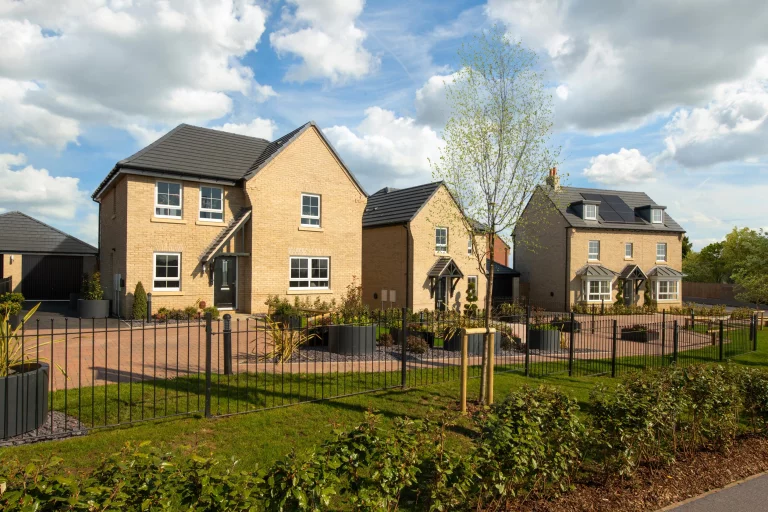 Image carousel 3569836 1774926075