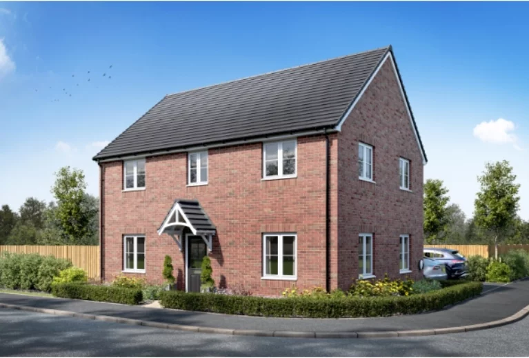 Image carousel 3569941 1774964495