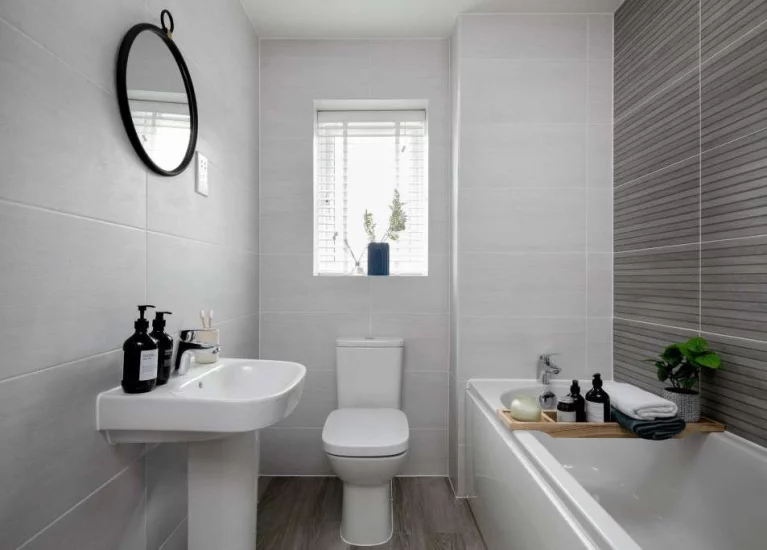 Image carousel 3570696 1775095254