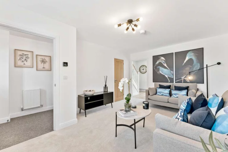 Image carousel 3570981 1775095260