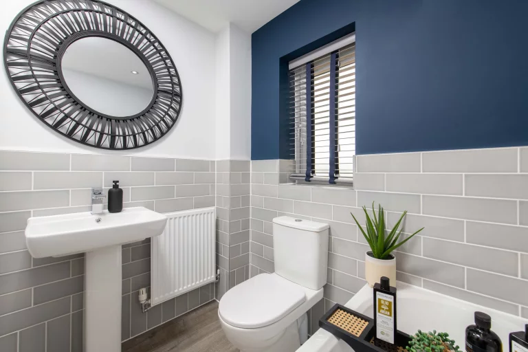 Image carousel 3571171 1775098889