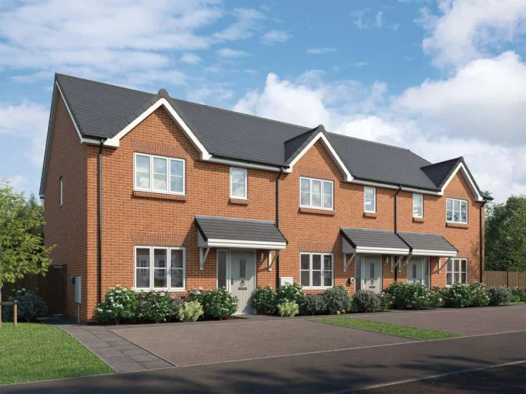 Image carousel 3571486 1775181667