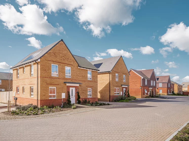 Image carousel 3571681 1775185269