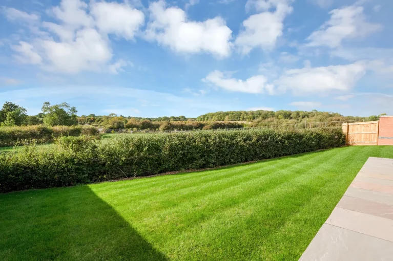 Image carousel 3572821 1775500035