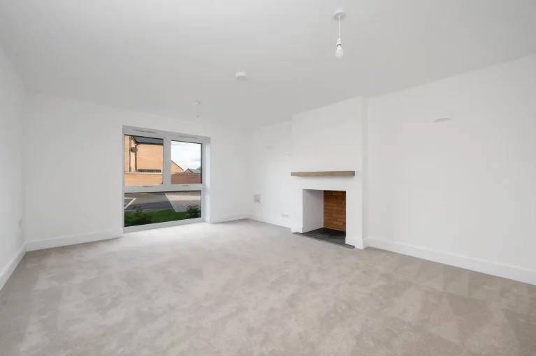 Image carousel 3572841 1775500128