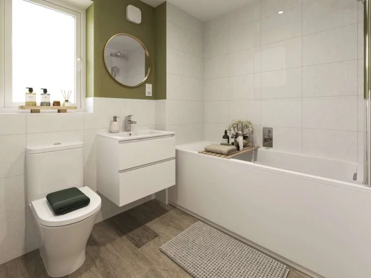 Image carousel 3574861 1775872861