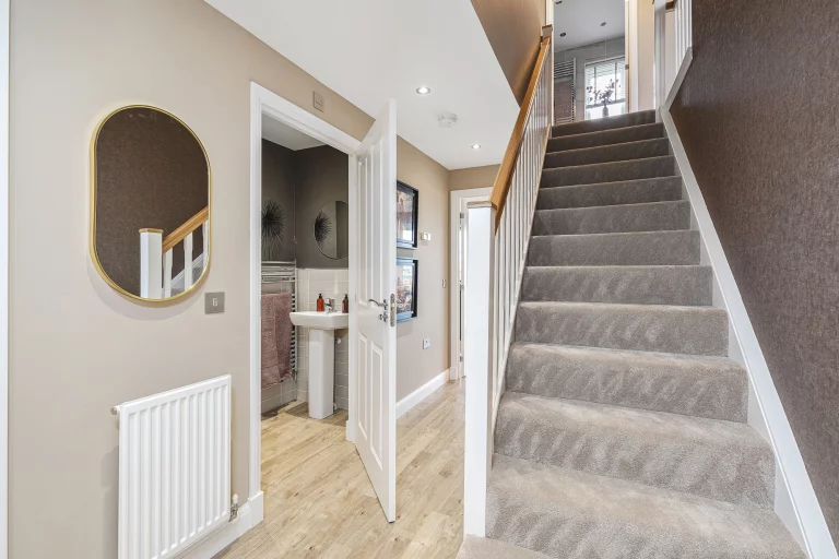 Image carousel 3575286 1775876587