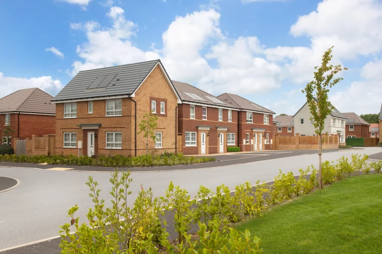 Image carousel 3576051 1776135729