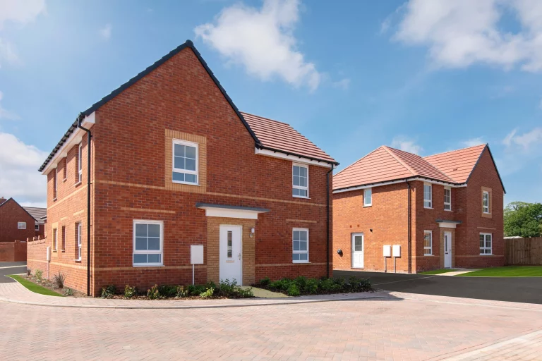 Image carousel 3576071 1776135752