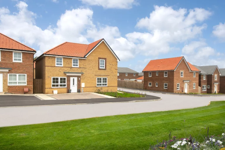 Image carousel 3576726 1776222057