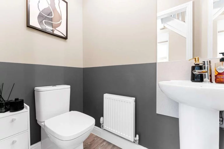 Image carousel 3577791 1776391249