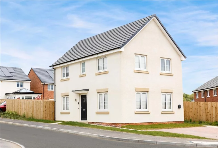 Image carousel 3579061 1776737463