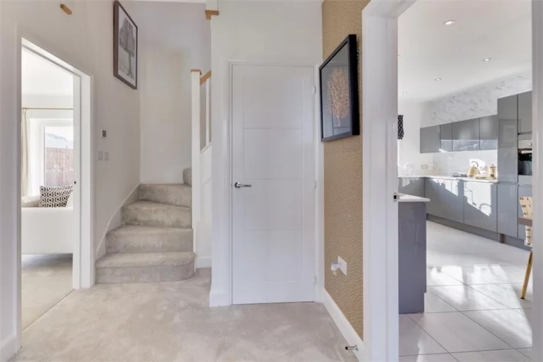 Image carousel 3579141 1776737945