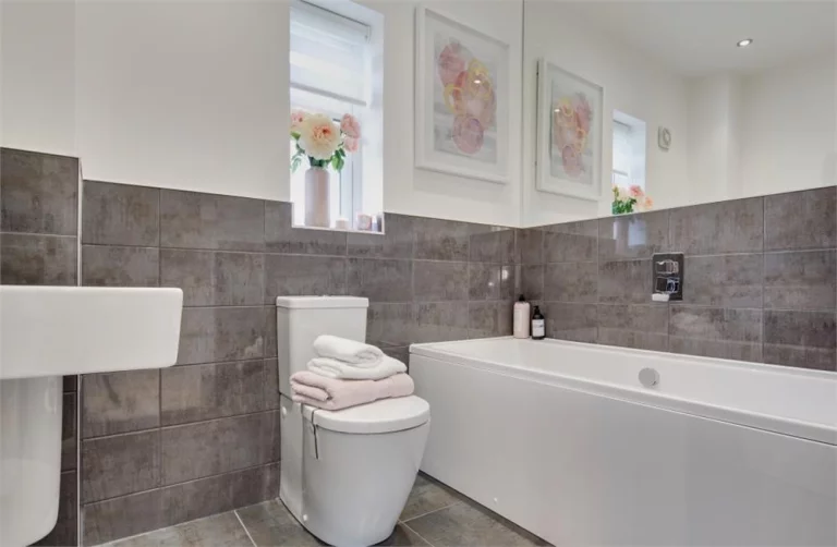 Image carousel 3579176 1776737950