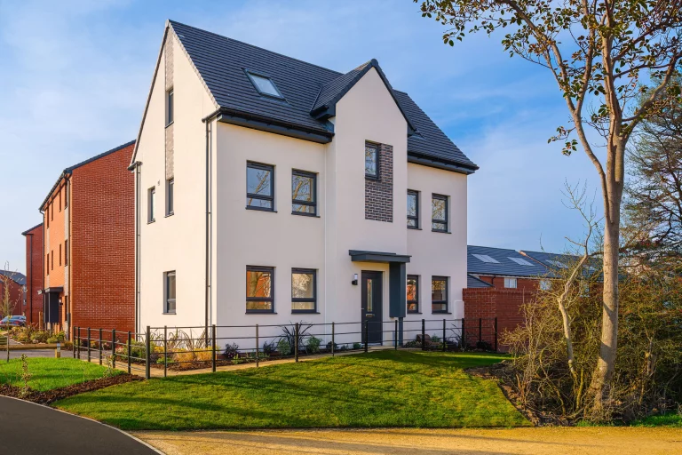 Image carousel 3579216 1776740462